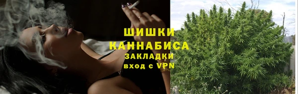 прущий лед Вязники