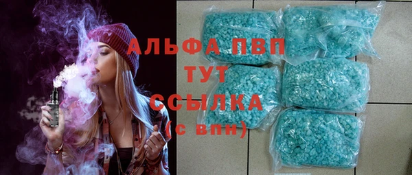 PSILOCYBIN Горнозаводск
