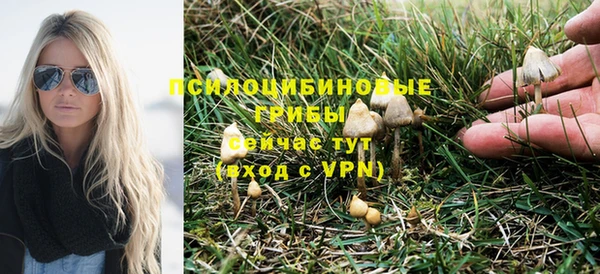 трава Вяземский