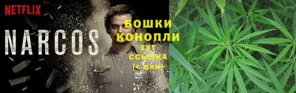 PSILOCYBIN Горнозаводск